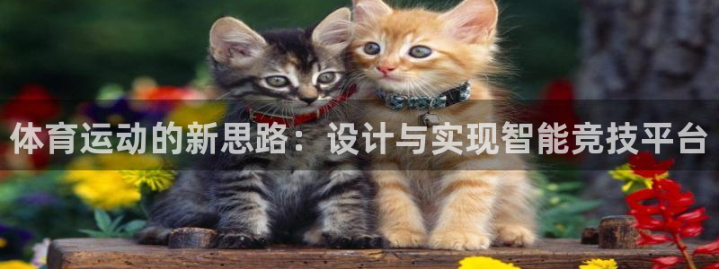 vsport体育在线官网：体育运动的新思路：设计与实现智能竞技平台