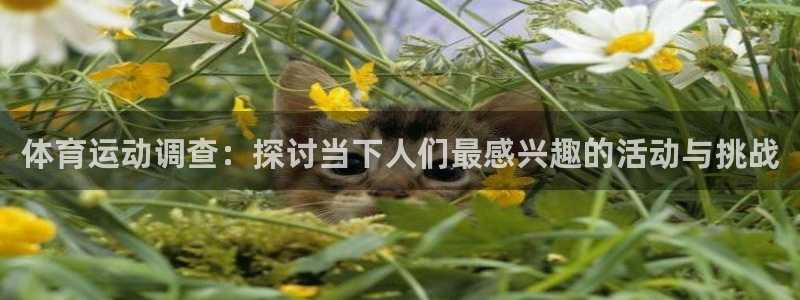 vsport体育：体育运动调查：探讨当下人们最感兴趣的活动与挑战