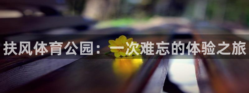 vsport体育：扶风体育公园：一次难忘的体验之旅