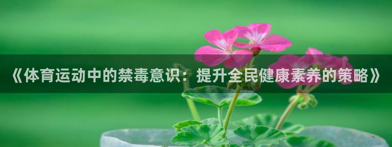 vsport体育在线官网：《体育运动中的禁毒意识：提升全民健康素养的策略》