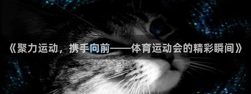 vsport体育在线官网：《聚力运动，携手向前——体育运动会的精彩瞬间》