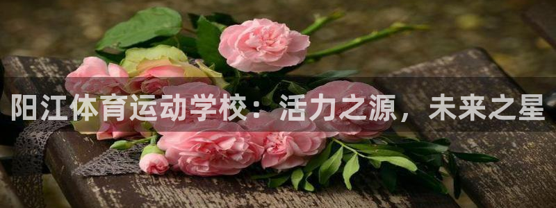 vsport体育在线官网：阳江体育运动学校：活力之源，未来之星