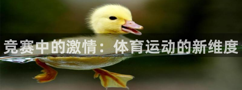vsport体育在线官网：竞赛中的激情：体育运动的新维度