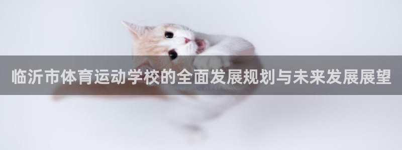 vsport体育：临沂市体育运动学校的全面发展规划与未来发展展望